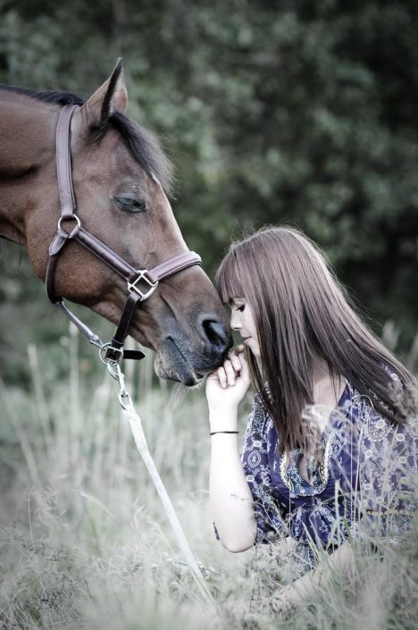 Pferdefotograf, Pferd, Pferdebilder, Pferdefotos