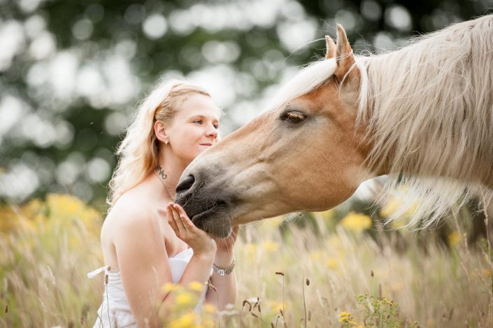 Pferdefotograf, Pferd, Pferdebilder, Pferdefotos